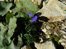 DSCN1315