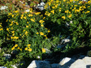 DSCN1316