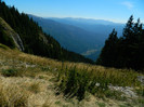 DSCN1321
