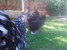 2012-09-27 14.21.23