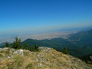 DSCN1342
