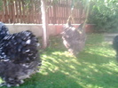2012-09-27 14.21.27