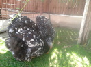 2012-09-27 14.22.34