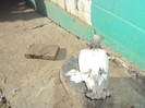 DSC00358