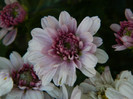 050