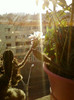 9 sept 2012-cactus