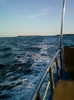 10-27 sept 2012-sunny beach, bulgaria 141