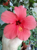 28 sept 2012-flori 043