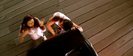 vlcsnap-00354