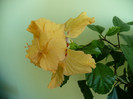 P1400769