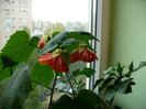 P1400830