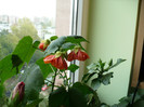P1400831