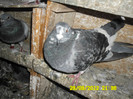 SAM_0703