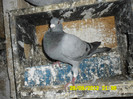 SAM_0704