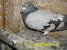 SAM_0706