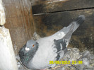 SAM_0709