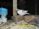 SAM_0710