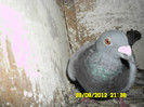 SAM_0716