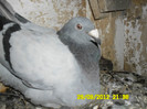 SAM_0718