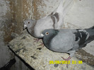 SAM_0721
