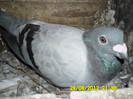SAM_0723
