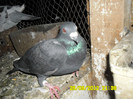 SAM_0728