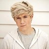 1derful-3-niall-horan-28938739-500-500