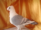 DSC02857