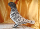 DSC02873