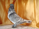 DSC02875