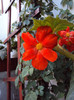 DSC00857