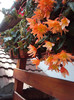 DSC00860