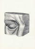 _photo43