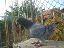 DSC06648