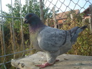 DSC06649