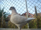 DSC06657