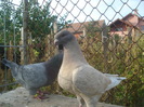 DSC06664
