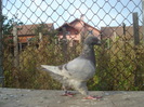 DSC06665
