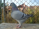 DSC06676