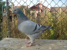 DSC06677