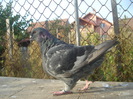DSC06680