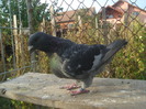 DSC06682