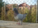 DSC06687