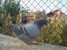 DSC06689