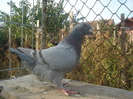 DSC06692