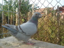 DSC06693