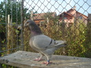 DSC06695