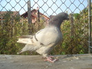 DSC06700
