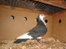 DSC00855