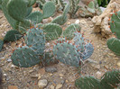 DSCF3144